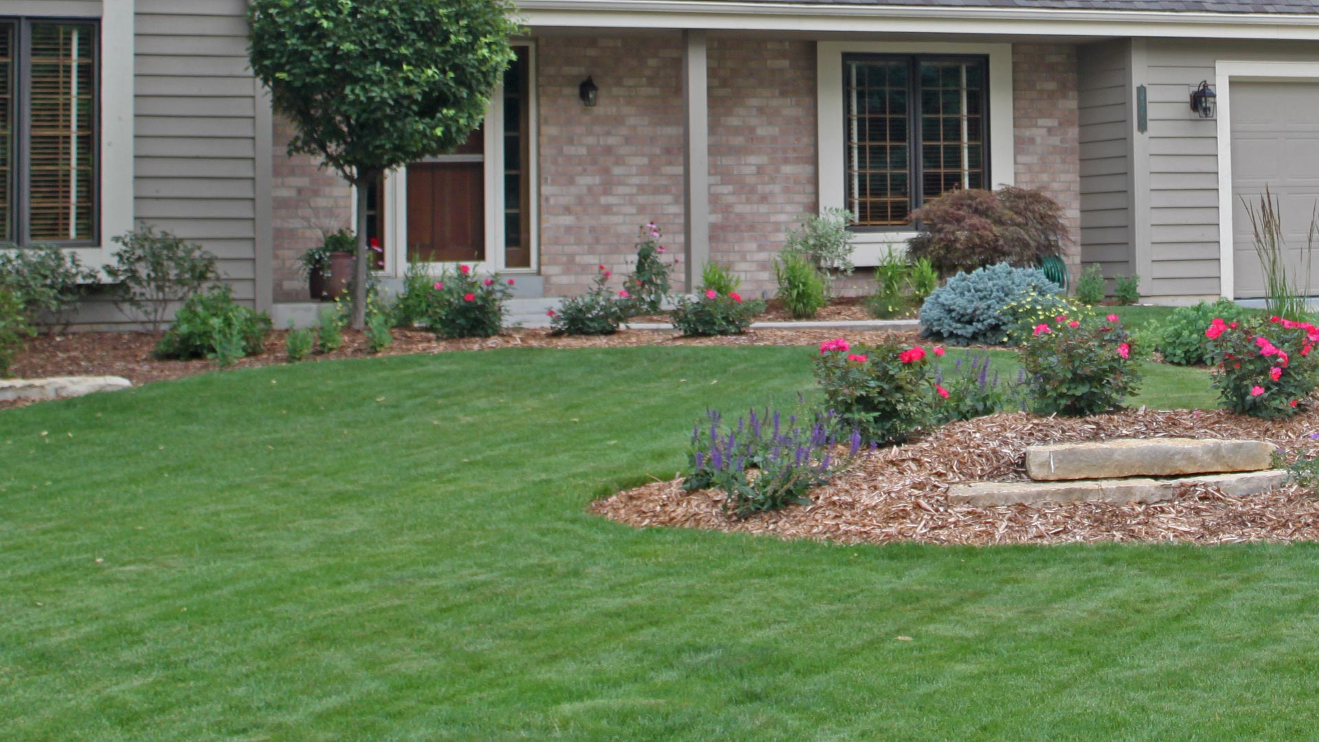 The results of a homeowner's yard receiving the full service package.