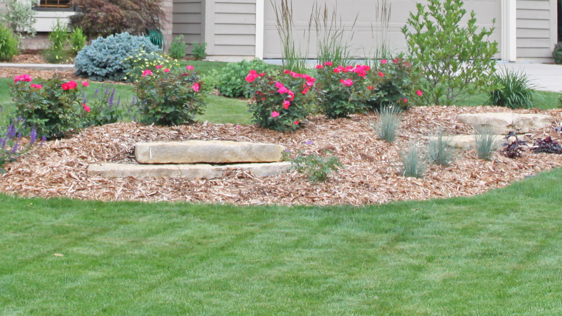 Natural mulch we laid in a landscaping bed.