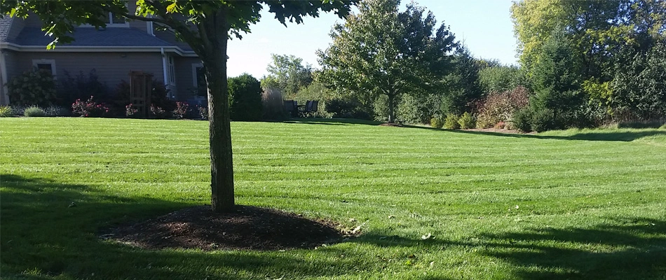 4 Reasons to Hire a Professional Mowing Company