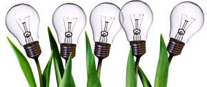 Image of light bulbs symbolizing the bulbs of certain plants.