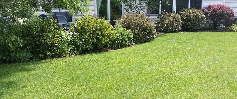 Well fertilized home lawn in Wauwatosa, WI.