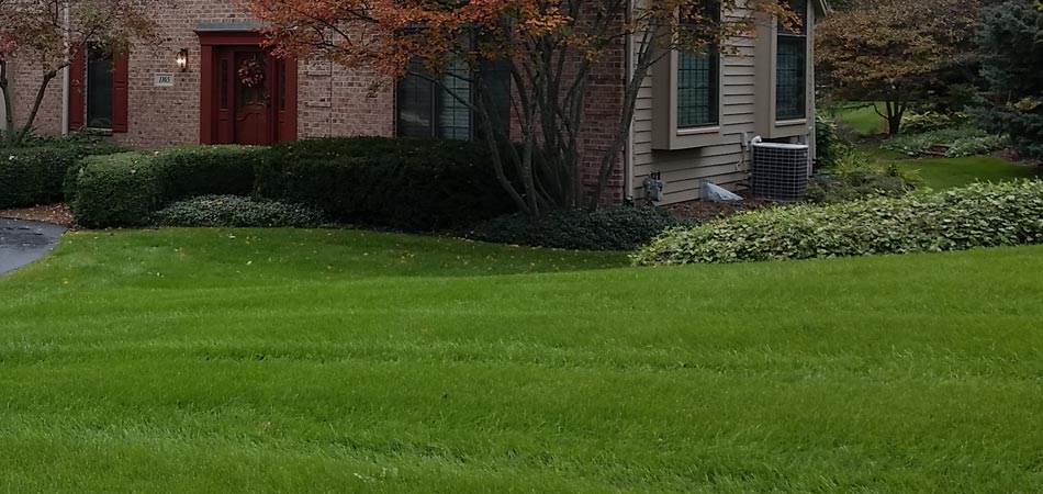 A fertilized lawn in Germantown, WI.