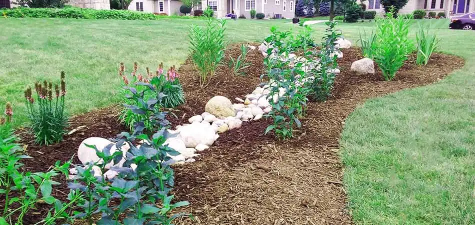 Organic mulch in a landscape bed with plantings near Wauwatosa, WI.