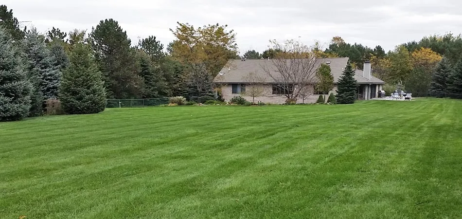 A large back yard in Wauwatosa, WI with fresh lawn mowing lines.