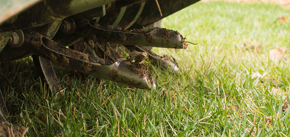 Soil cores being left behind during an aeration service, that is being performed for a customer in Brookfield, Elm Grove, WI.