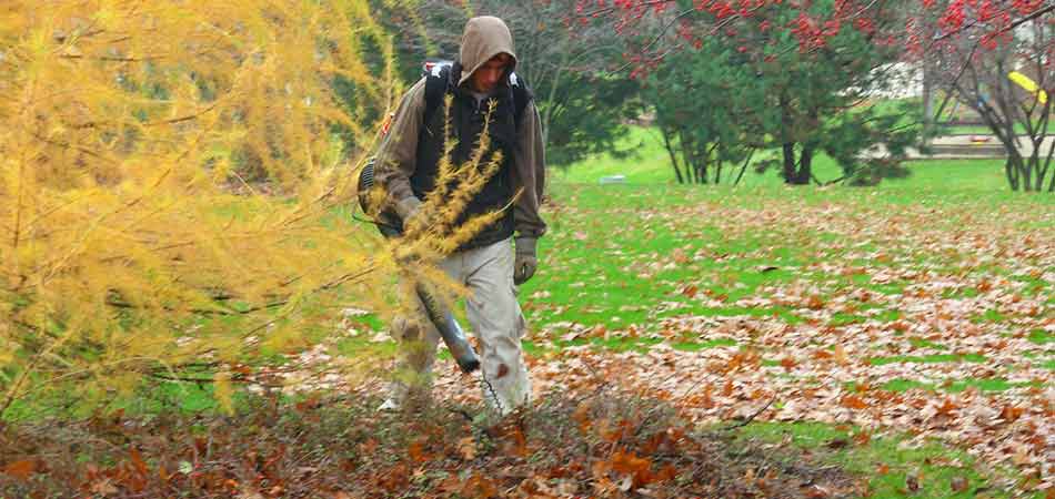One of the Beautiful Blooms, LLC team members blowing leaves during a leaf removal service for a homeowner in Brookfield, Elm Grove, WI.