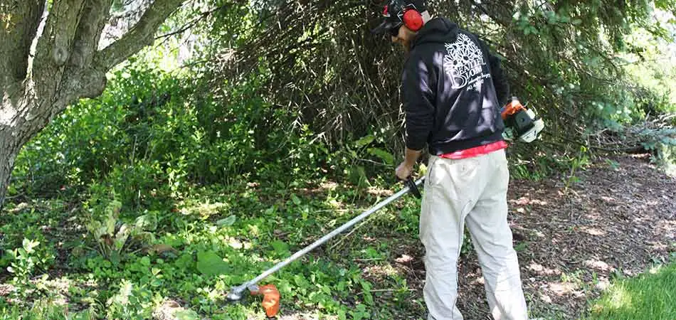 This Beautiful Blooms, LLC team member is using a string trimmer during the yard cleanup service being performed for this overgrown property in Pewaukee, WI.