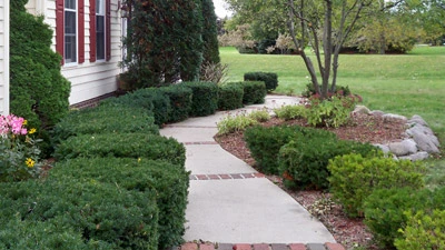 Freshly pruned and trimmed landscape in Wauwatosa, WI.
