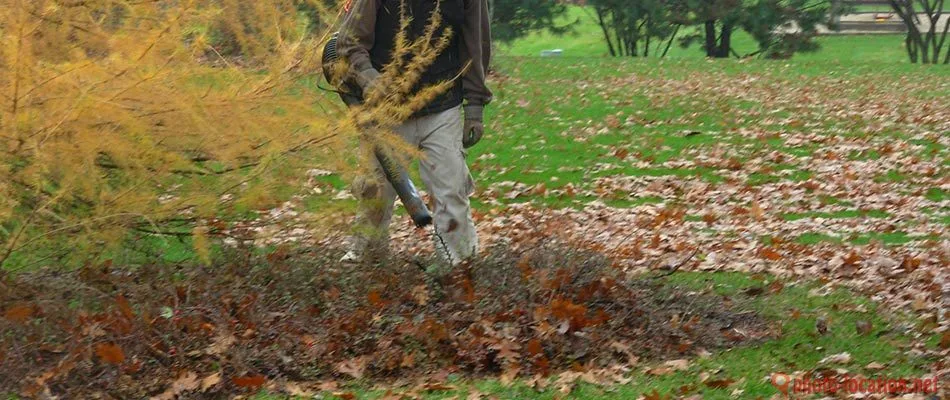 A person is walking in a park with autumn leaves on the ground, partially obscured by a leafy branch in the foreground.