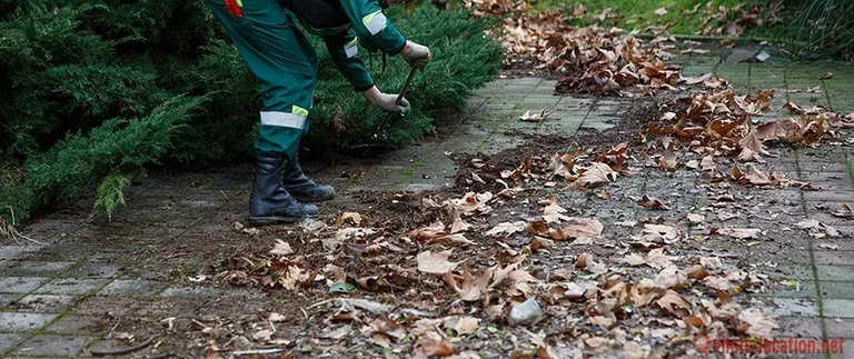 A person in a green uniform with reflective strips is using a leaf blower on a paved path covered with dry leaves, near some shrubs.