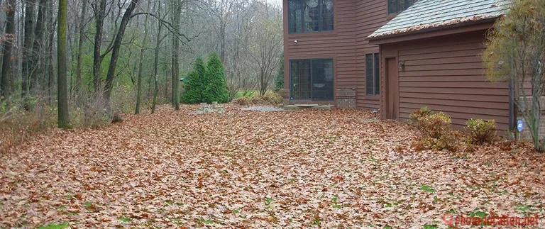 A two-story brown house with large windows is surrounded by a carpet of fallen autumn leaves. Trees with sparse foliage suggest late fall.