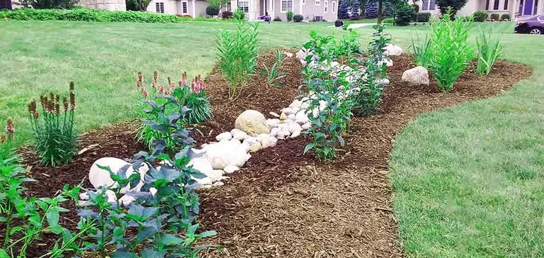 Curved landscaping bed with assorted plants and shrubs, bordered by rocks. Mulch covers the soil. Green lawn and part of a house visible.