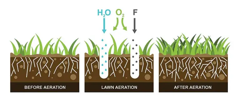 The image illustrates the lawn aeration process: "Before Aeration" with compact soil, "Lawn Aeration" showing water and air penetrating, and "After Aeration" with loose soil.