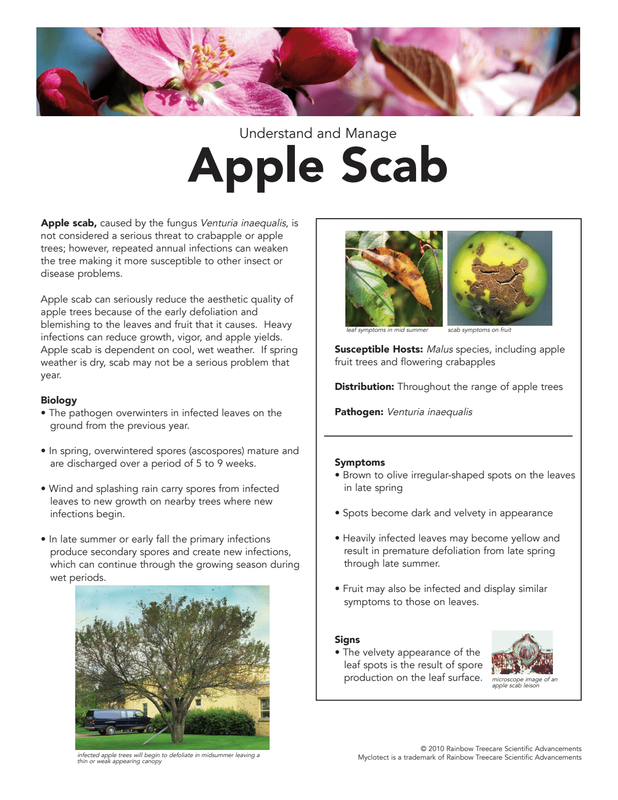 The image is an educational poster about "Apple Scab," detailing causes, symptoms, biology, and management of the disease, with photos of affected leaves and fruit.