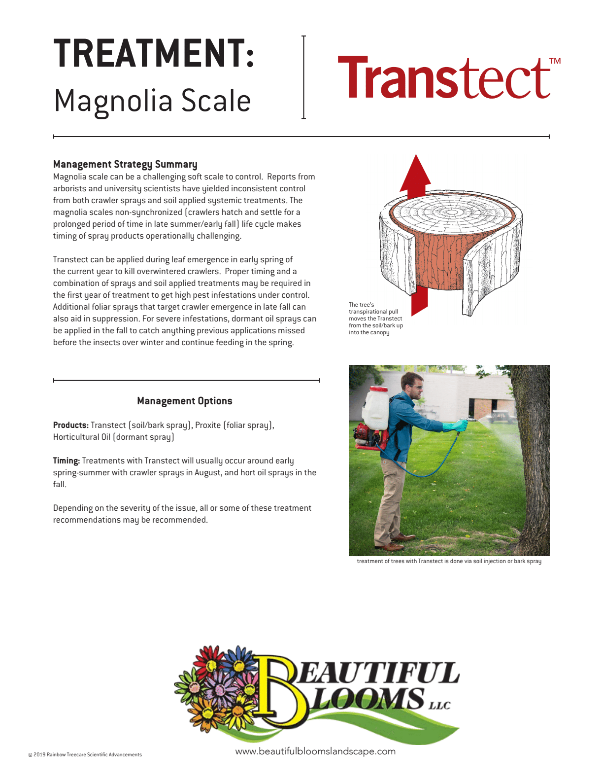 This image is an informational brochure about treating Magnolia Scale with a product called Transtect. It includes management summaries, options, and a photo of a person applying treatment.
