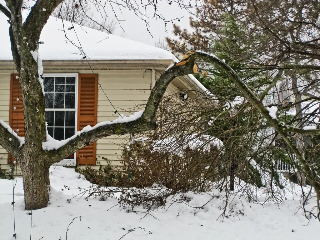 A snow-covered tree has fallen in front of a house with beige siding and orange shutters, obstructing the view and likely causing damage.