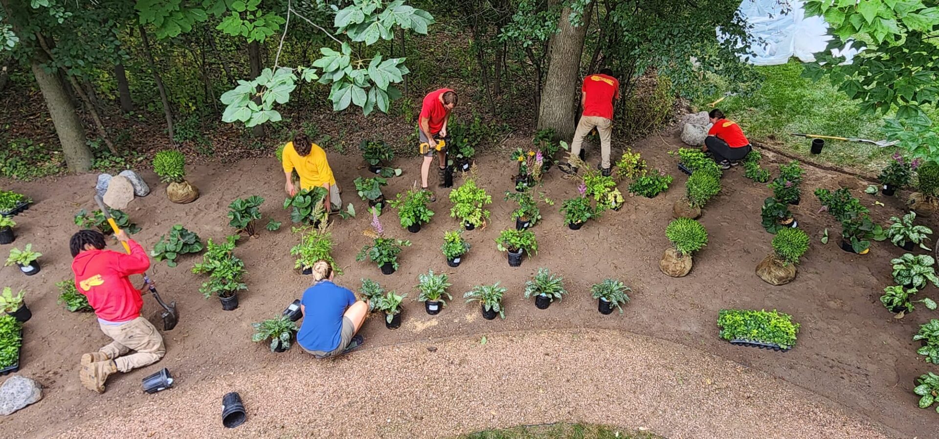 Several people are gardening, planting various plants in a curved soil bed bordered by gravel paths, surrounded by trees and greenery.