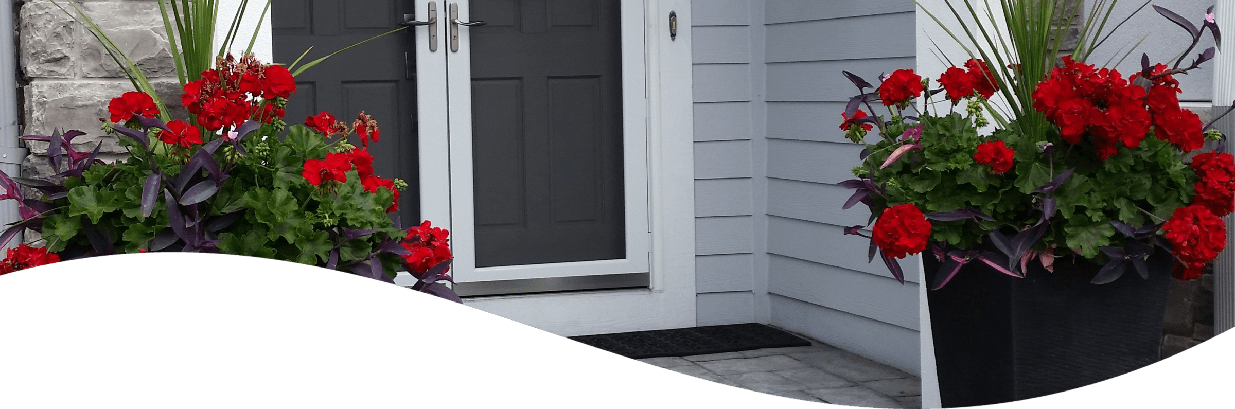 This image features a residential entryway with a gray exterior, double doors flanked by two large urn planters overflowing with vibrant red flowers and greenery.