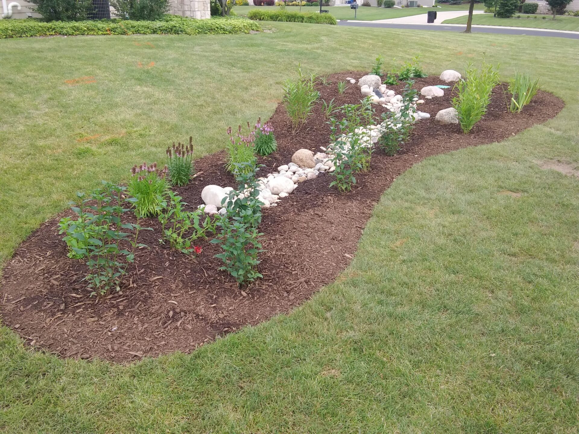 A landscaped garden bed with mulch, various plants, and arranged rocks creates a serpentine design against a backdrop of a neatly trimmed lawn.