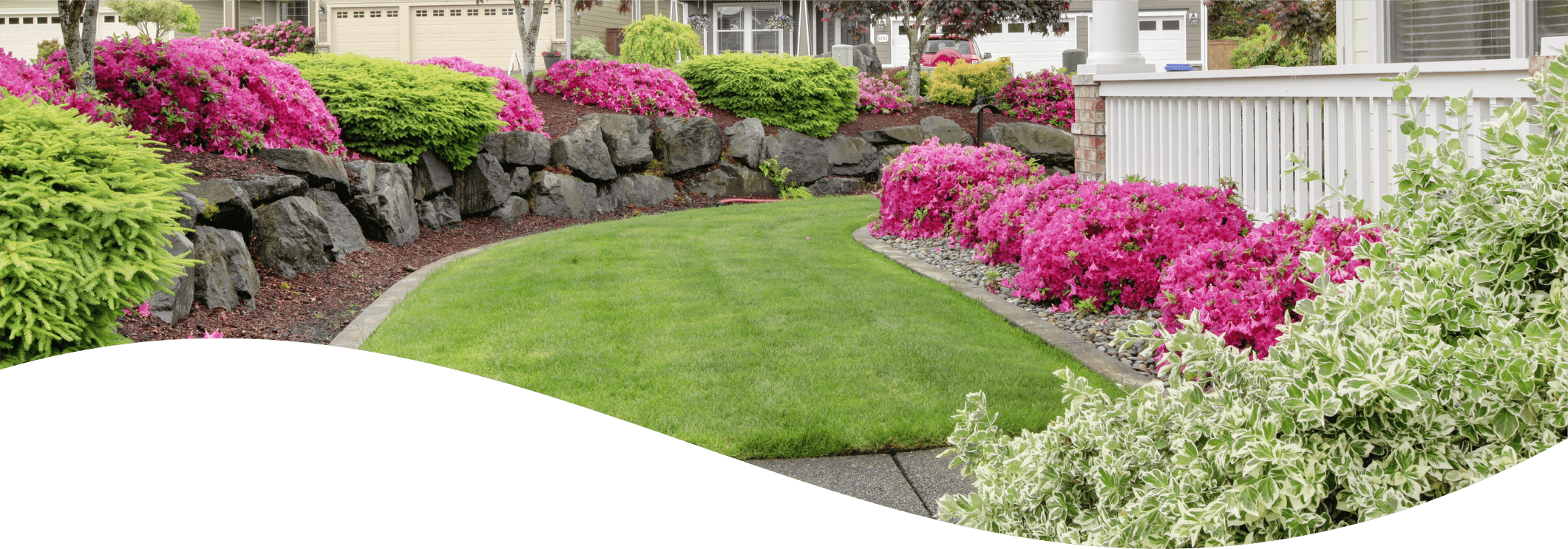 A well-manicured lawn curves around a vibrant garden with pink flowers, green shrubs, and large rocks, adjacent to a driveway and white fence.