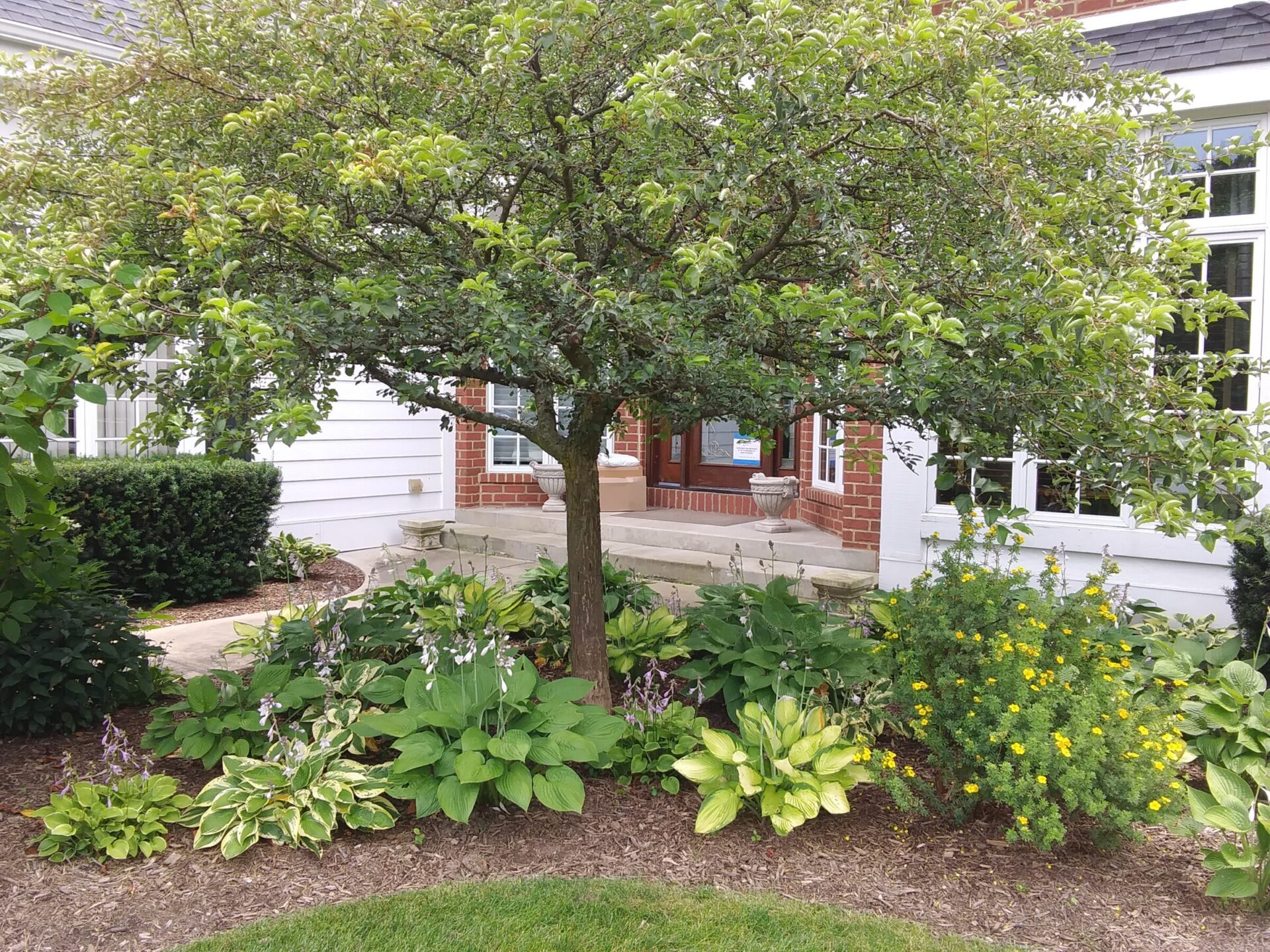 The image shows a lush garden in front of a house with a tree, flowering plants, mulch, and a walkway leading to a white porch.