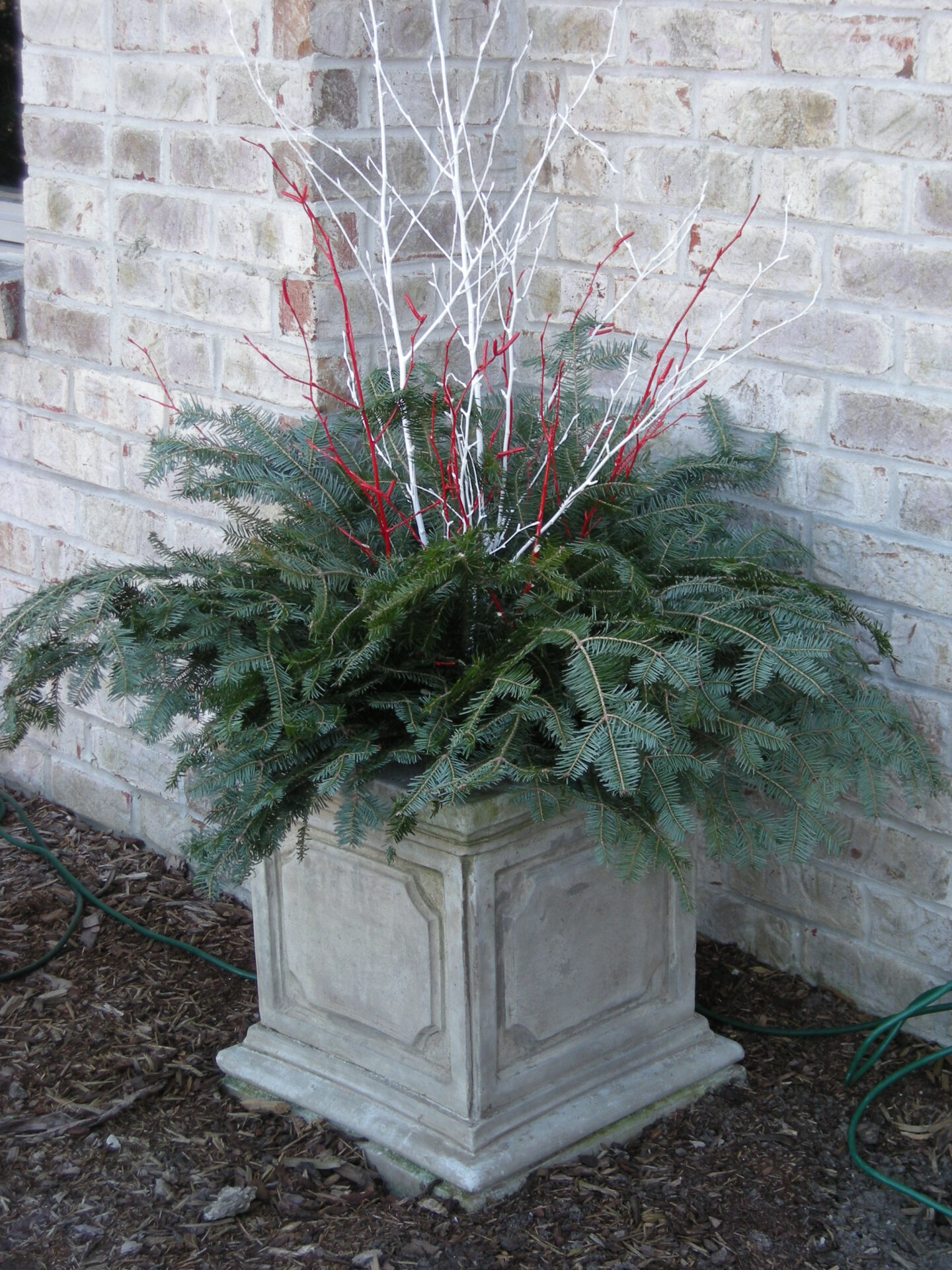 An ornamental planter with green ferns and decorative red and white branches is set against a brick wall, creating a festive outdoor display.