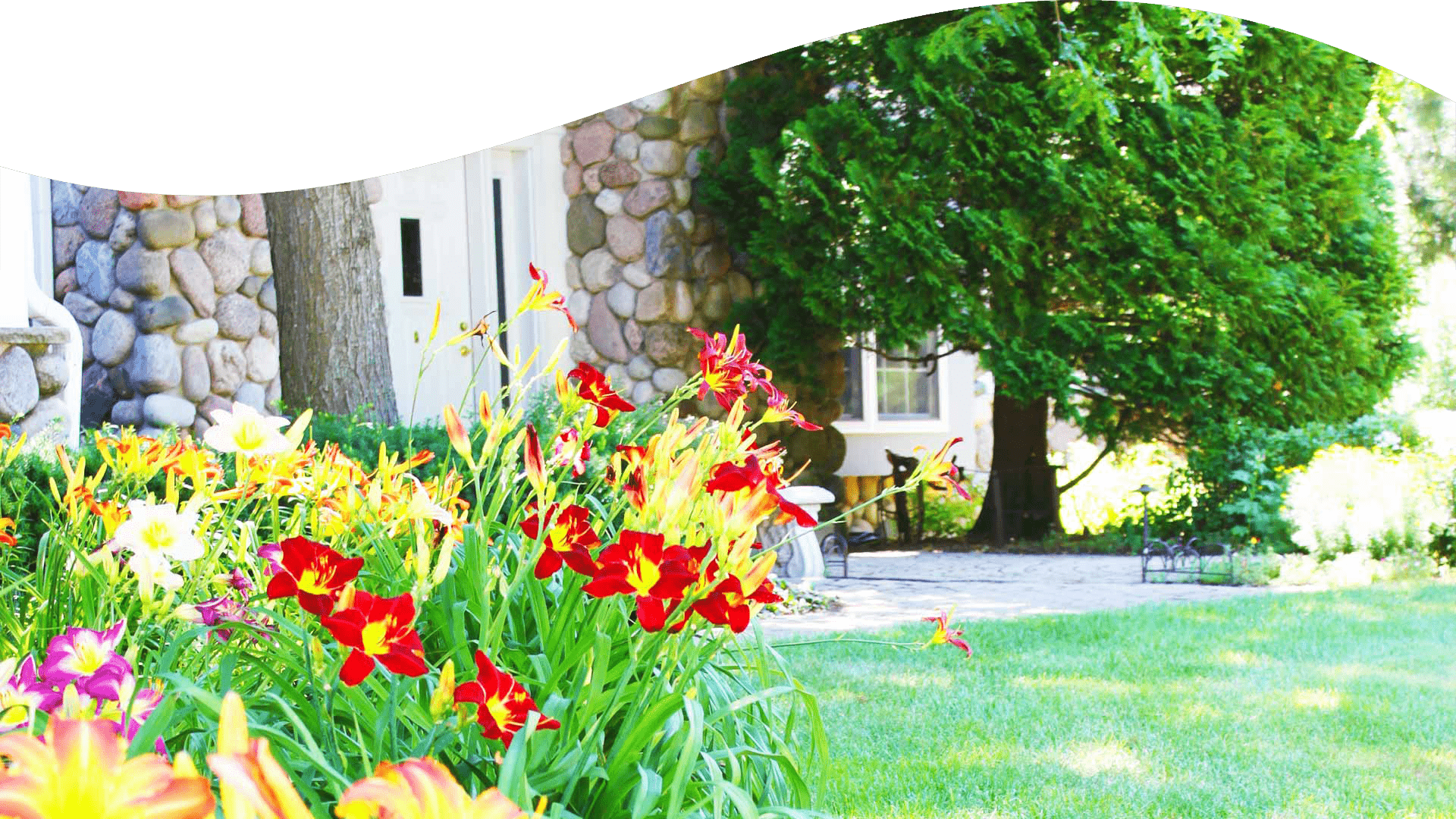 Lush garden with blooming daylilies in varied colors, stone house facade, green trees, and a manicured lawn with a curving walkway and benches.