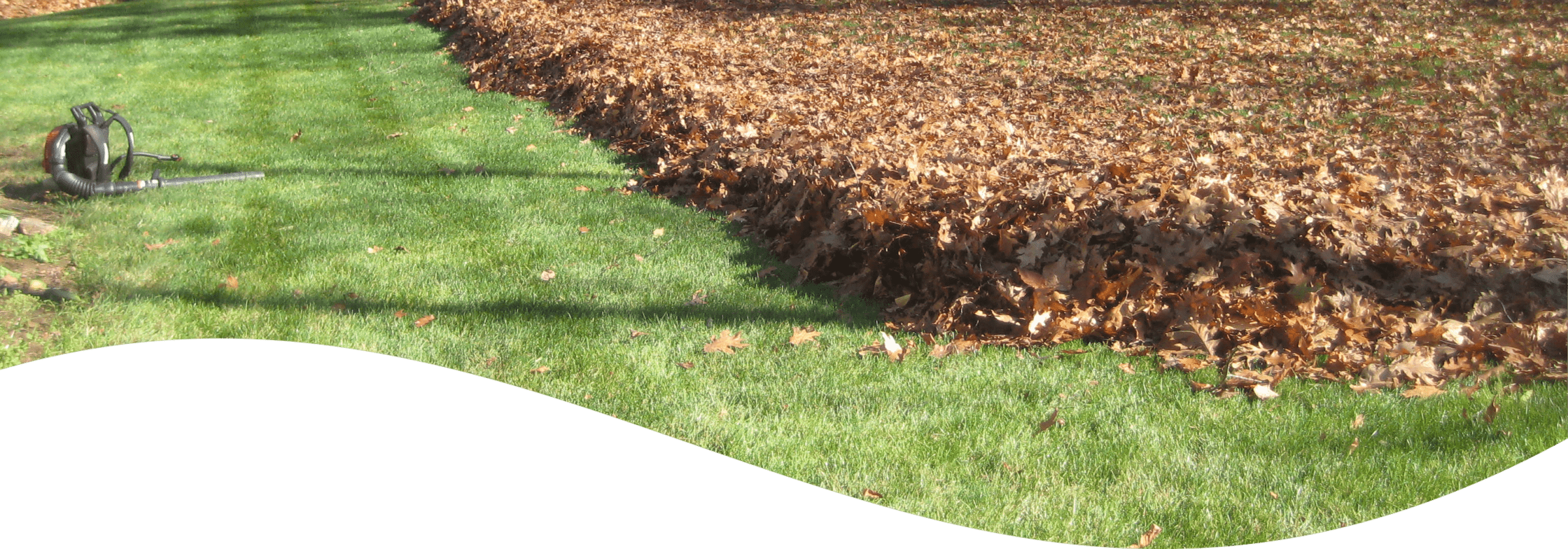 The image shows a neat lawn with a leaf blower on the left and a large pile of gathered autumn leaves on the right, indicating yard maintenance.
