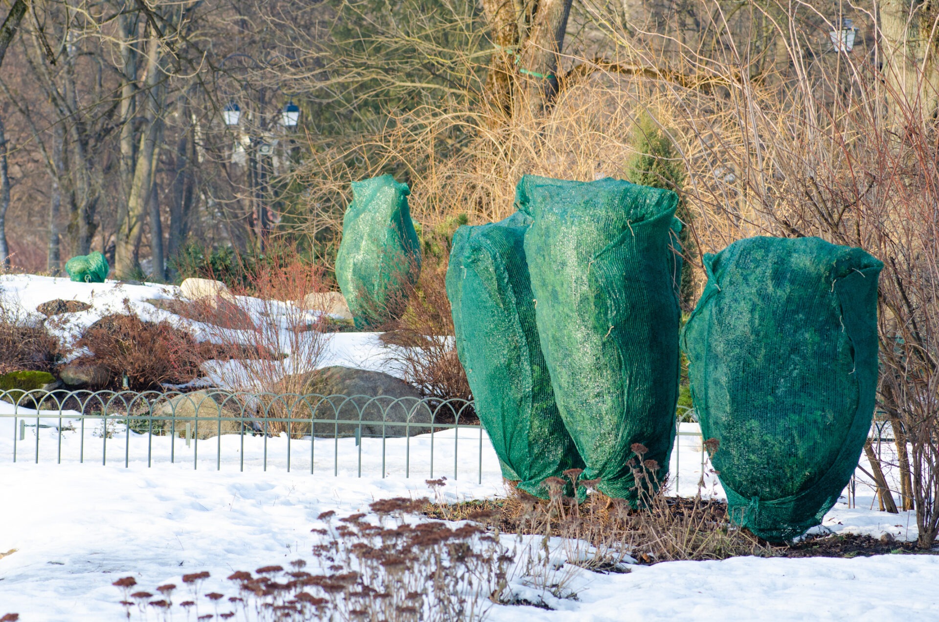 Three large green sculptures resembling wrapped botanical elements stand in a snow-dusted park with leafless trees and a metal fence in the background.