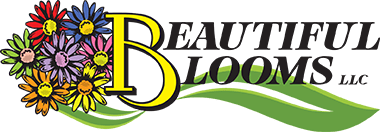 The image features a stylized logo with the text "Beautiful Blooms LLC," adorned with colorful flowers forming a bouquet around a large letter B on a green swoosh.