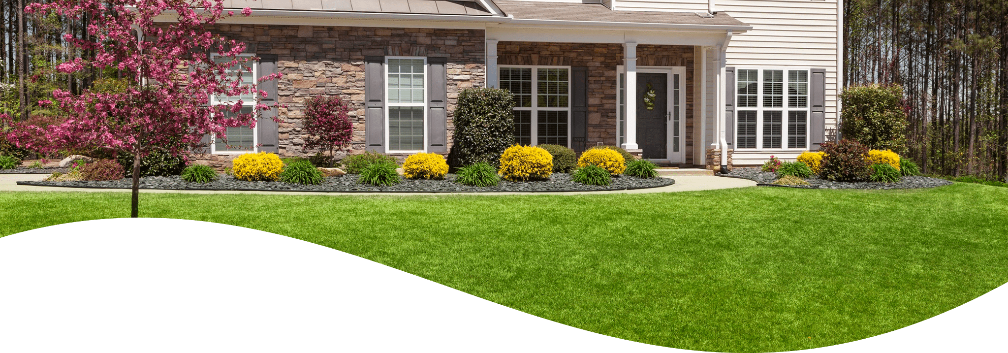 A suburban house with a well-manicured lawn, stone facade, blooming trees, and vibrant yellow shrubs. The property exudes springtime charm and neat landscaping.