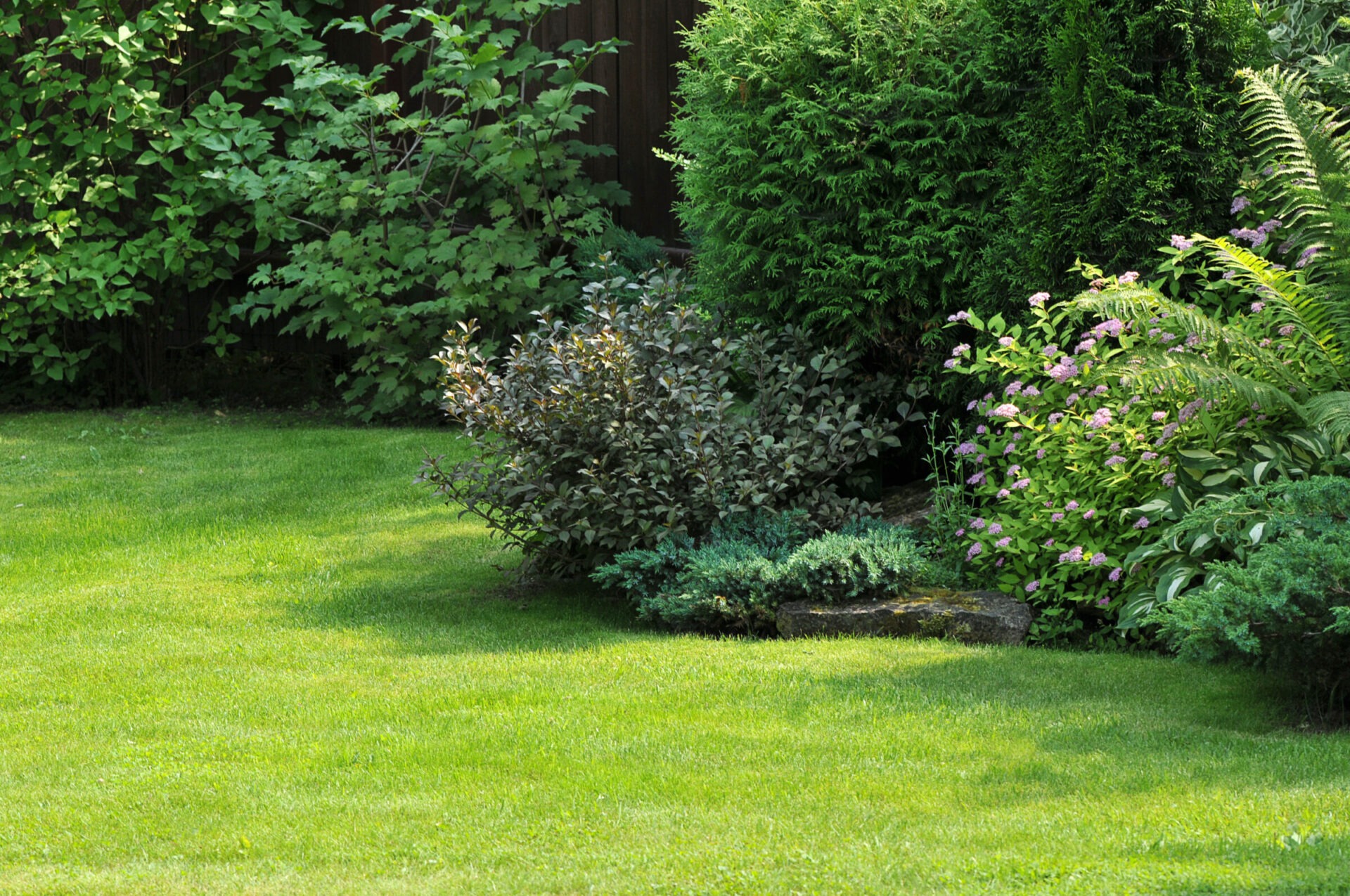 A well-maintained garden with lush green grass, variety of shrubs and plants, under bright sunlight, bordered by a wooden fence in the background.