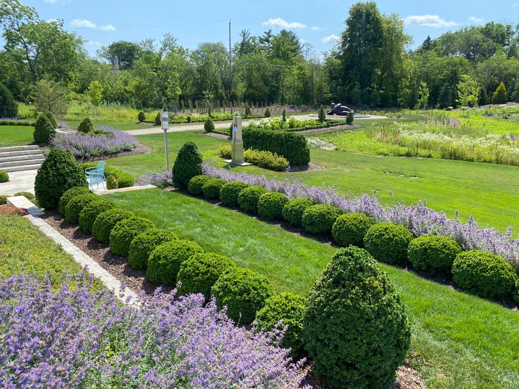 This is a well-manicured garden with lavender flowers, neat rows of spherical shrubs, a trimmed lawn, a solitary blue chair, and a sunny blue sky.